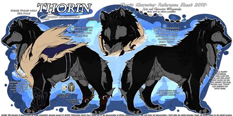 Character Reference Sheet 2015 Thorin By Mayasacha On