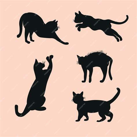 premium vector cats silhouette collection set vector illustration flat style design
