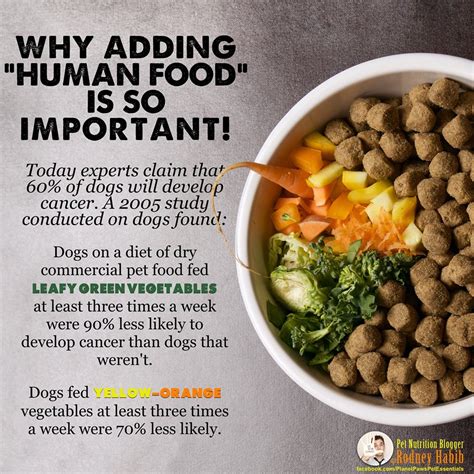 Buying food for diabetic dogs is only hard when you don't know what you are looking for; HERE'S WHY IT IS SO IMPORTANT TO ADD FRESH "HUMAN FOOD" TO ...