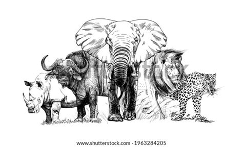 Big African Five Animal Hand Drawn Stock Illustration 1963284205