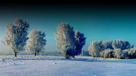 Winter Scenes Wallpaper 55 Images