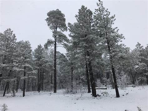 Snow In Arizona And Where To Find It Phoenix With Kids