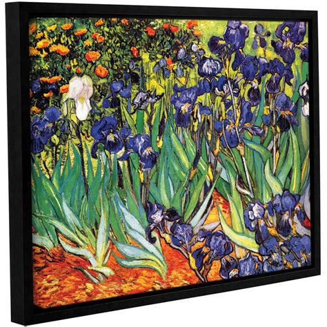 Vincent Van Gogh Irises In The Garden Floater Framed Gallery Wrapped