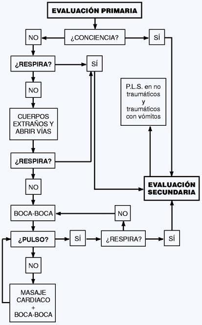 Domina T Cnicas De Primeros Auxilios Y Signos Vitales Hot Sex Picture