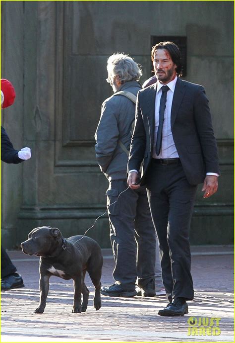 Keanu reeves was spotted arriving at berlin's potsdam babelsberg studios on wednesday to work on latest film john wick 4. John Wick 2 Dog Name