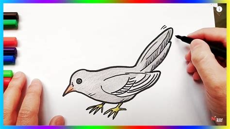 Comment Dessiner Un Oiseau Facile à Faire étape Par étape Youtube