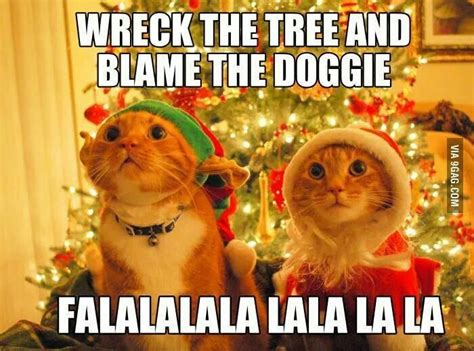 Cat Dog Christmas Meme Christmas Cats Christmas Animals Christmas Humor