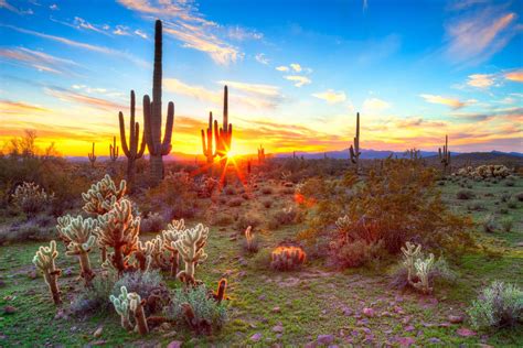 10 Pictures That Prove Arizona Has No Chill Arizona Sunset Best