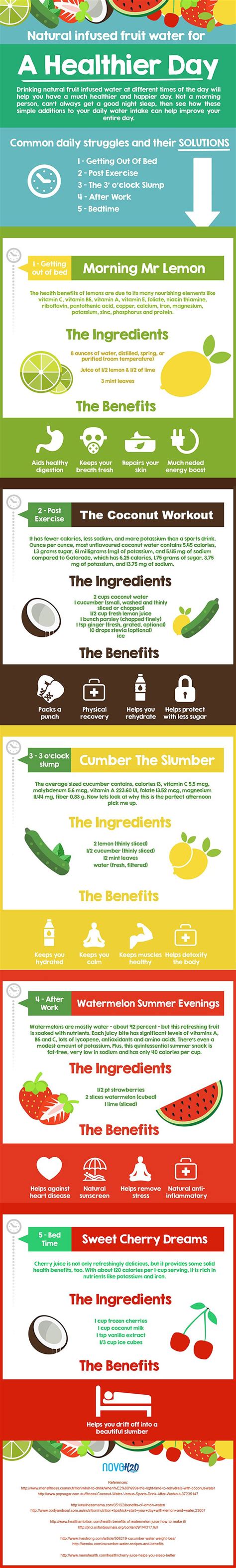 Healthy Fruit Infused Water Recipes Infographic
