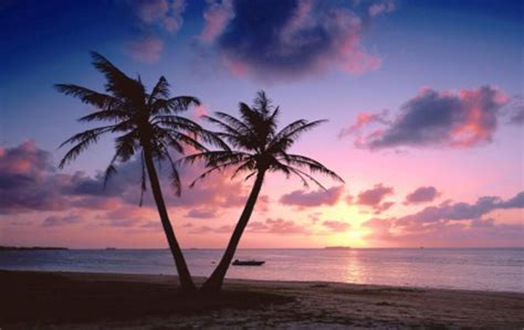 Beautiful Red Rays Of Sunset Free Background Beach