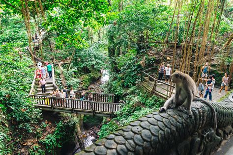 Sacred Monkey Forest Sanctuary Of Ubud Bali Travel Pockets