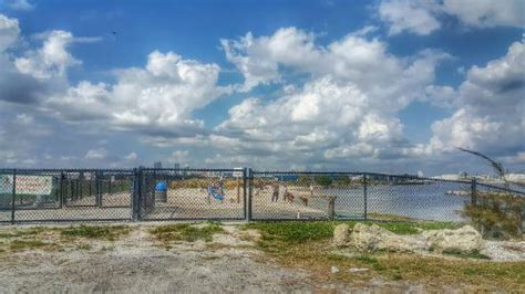 Davis Island Dog Beach Tampa 2021 All You Need To Know Before You