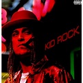 Kid Rock - Devil Without A Cause - Vinyl - Walmart.com - Walmart.com