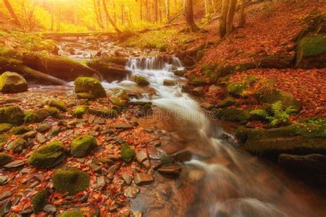 Rapid Mountain River In Autumn Stock Photo Image Of Flare Fall