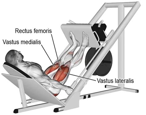 Leg Press Exercise Muscle Worked Health Benefits How To Do