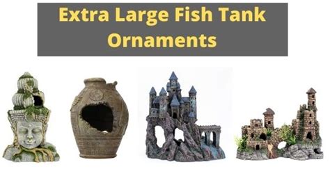 Extra Large Fish Tank Ornaments Fishtank Expert