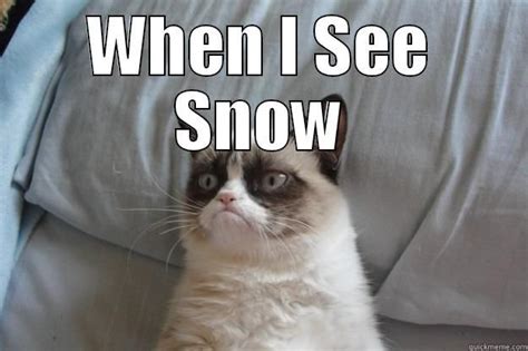 Funny Cat Snow Funny Animals Pinterest Cats Funny Cats And Snow