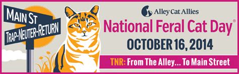 Email Time To Start Planning For National Feral Cat Day October 16