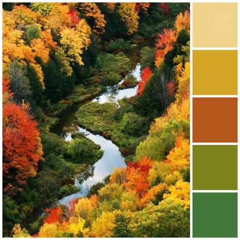 Fall Style Guide For Your Home Fall Color Schemes Fall Color Palette