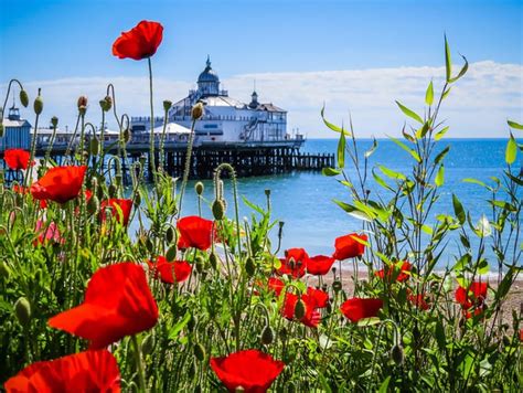 12 Reasons Why You Should Visit Eastbourne England