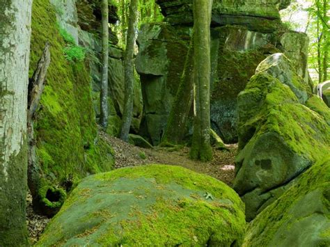 The mullerthal trail with more than 112 km is composed by 3 big tracks (route 1, route 2, route 3). Teufelsschlucht - Echternach Canton, Luxemburg ...