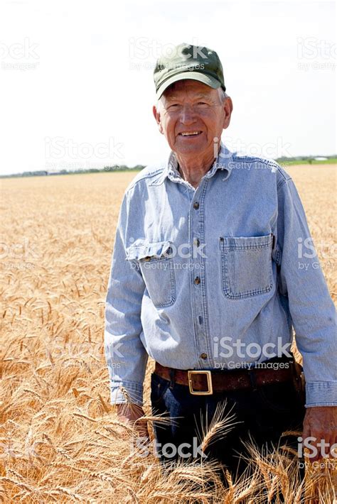 A Proud Midwestern American Farmer Stands In His Field Of Wheat