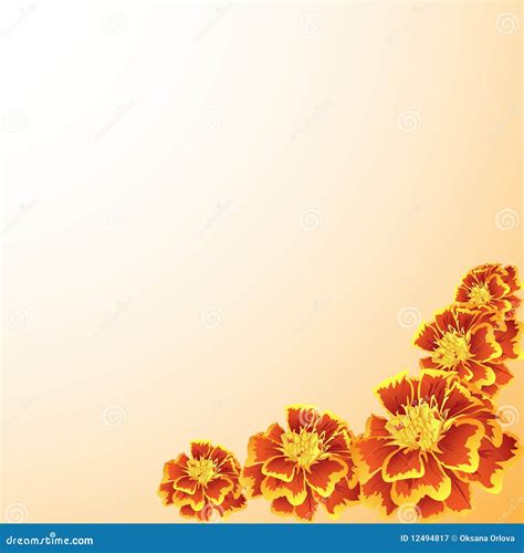 Marigold Frame Stock Illustration Illustration Of Frame 12494817