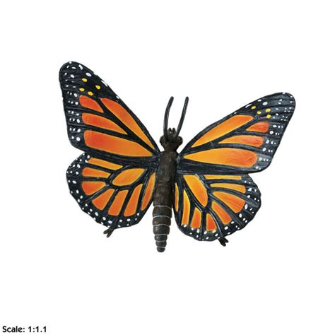 Monarch Butterfly Incredible Creatures Safari