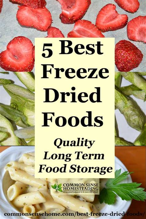 The best freeze dried foods, from family meals to single serving pouches; 5 Best Freeze Dried Foods - Quality Long Term Food Storage