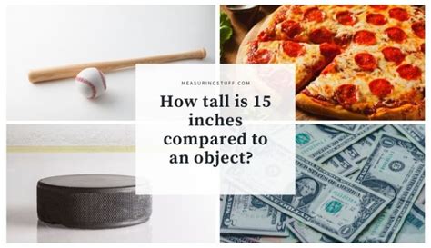 How Tall Is 15 Inches Compared To An Object Measuring Stuff