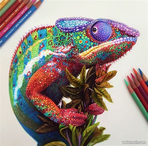 Chameleon Color Pencil Drawing By Morgan Davidson 2