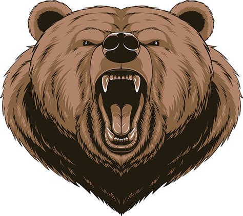 Growling Bear Illustrations Royalty Free Vector Graphics And Clip Art