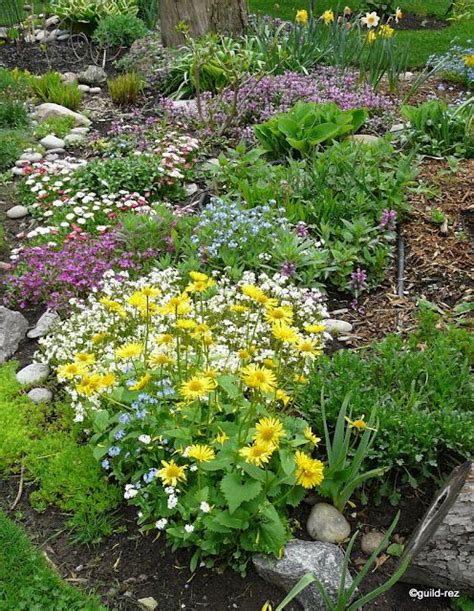 As your new president of the garden clubs of ontario it has been an honour and a pleasure getting to know your executive and learning all that goes on behind the scene. Gisela Bach's Garden (Ontario, Canada) 2012 Guildwood ...