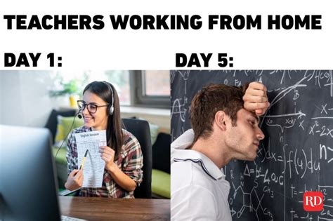 14 Working From Home Memes That Are Hilariously Accurate Teaching