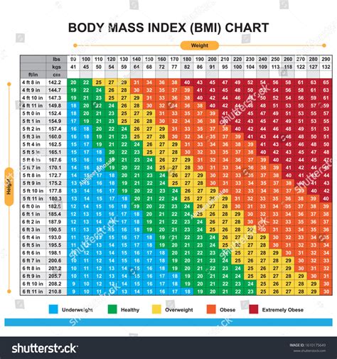 Bmi Chart Poster Body Mass Index Poster 18 X 24 Poster Laminated Images And Photos Finder