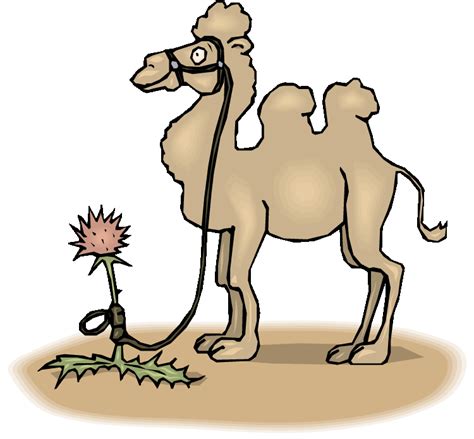 Choose from a wide range of similar scenes. Free Camel Clipart