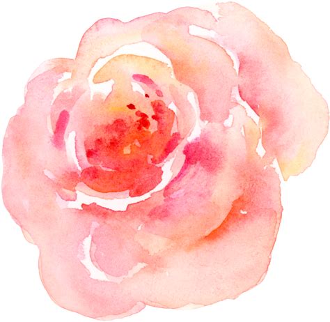 Download Transparent Pink Watercolor Flower Transparent Pink Flower