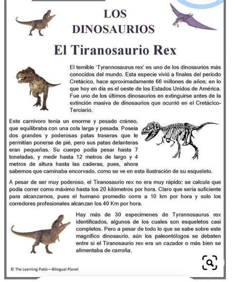 Animales Ejemplos De Textos Expositivos Escolares Cortos Nuevo Ejemplo