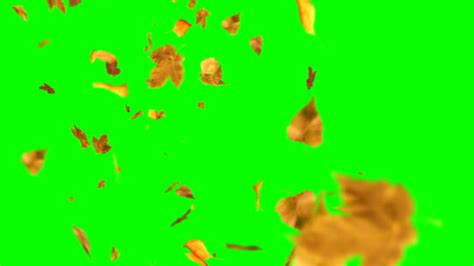 Falling Leaves Green Screen Videos And Hd Footage Getty Images