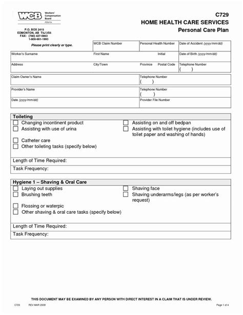 Home Health Care Plan Template New Home Health Care Plan Template In