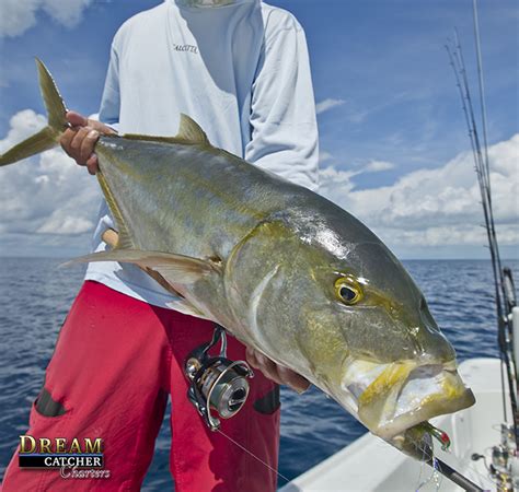 Go Backcountry And Have Fun Florida Keys Fishing Report