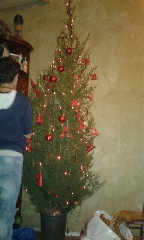 Christmas Lebanon  Christmas, Christmas tree, Holiday
