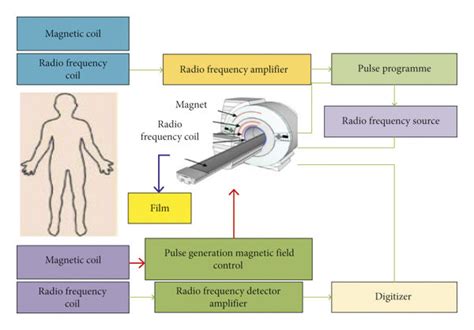 Schematic Of Magnetic Resonance Imaging Download Scientific Diagram