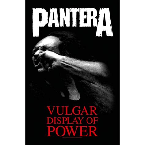 Pantera Vulgar Display Of Power Textile Poster Flag Etsy