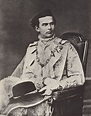 Ludwig II | Revolutionary artists, European history, Historical characters