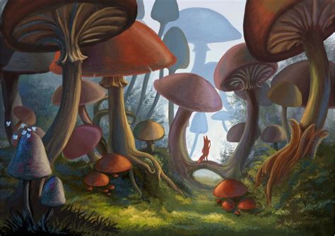 Kito In The Mushroom Forest Mushroom Art Forest Art Alice In