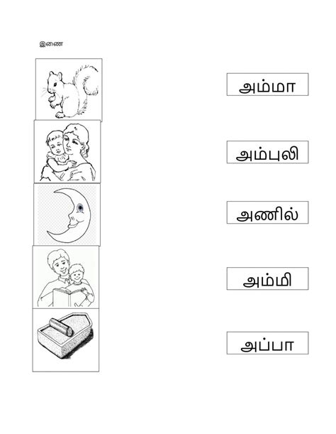 Tamil object names worksheets,printable and downloadable activity sheets,assessment worksheets. Tamil words - Interactive worksheet