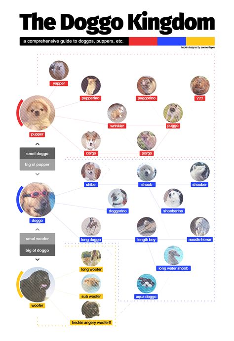 Wanted To Organize All The Various Names Of Doggos And Puppers In A