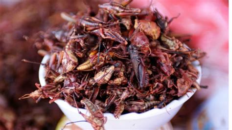 Eating Mexican Grasshoppers The Food Culture Youtube