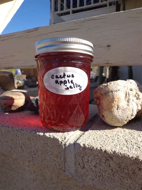 Prickly pear cactus has large flat leaves, which are actually a modified portion of the stem of the plants, that are often referred to as cactus pads. Fruit of the heart: Use cactus fruit for jelly
